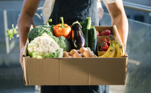 蔬菜健康咨詢服務 綠色生活的營養指南